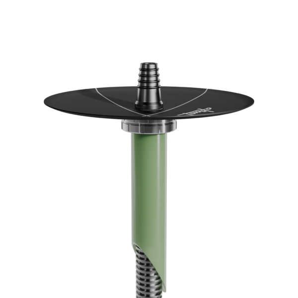 Tanto Long Green — изображение 2